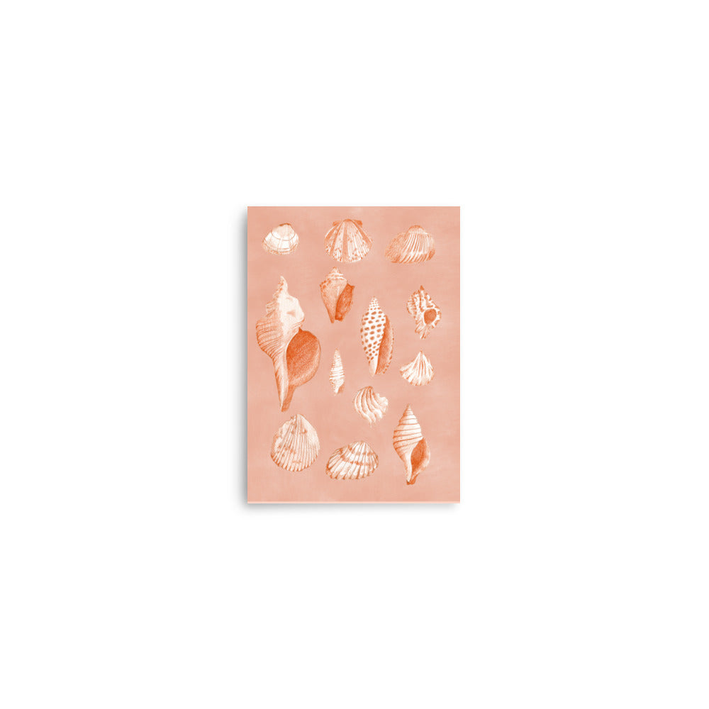 Shell Print