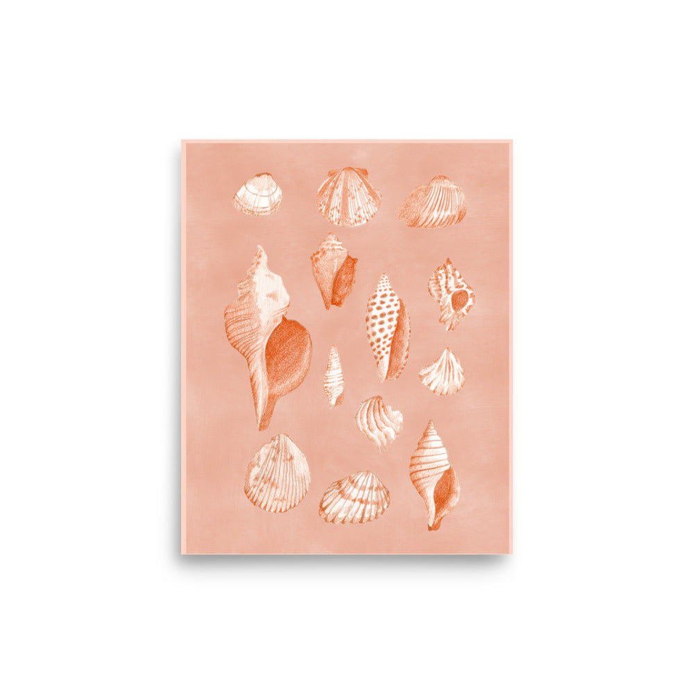 Shell Prints Small Shells Shell Print – Big Ole Day Studios