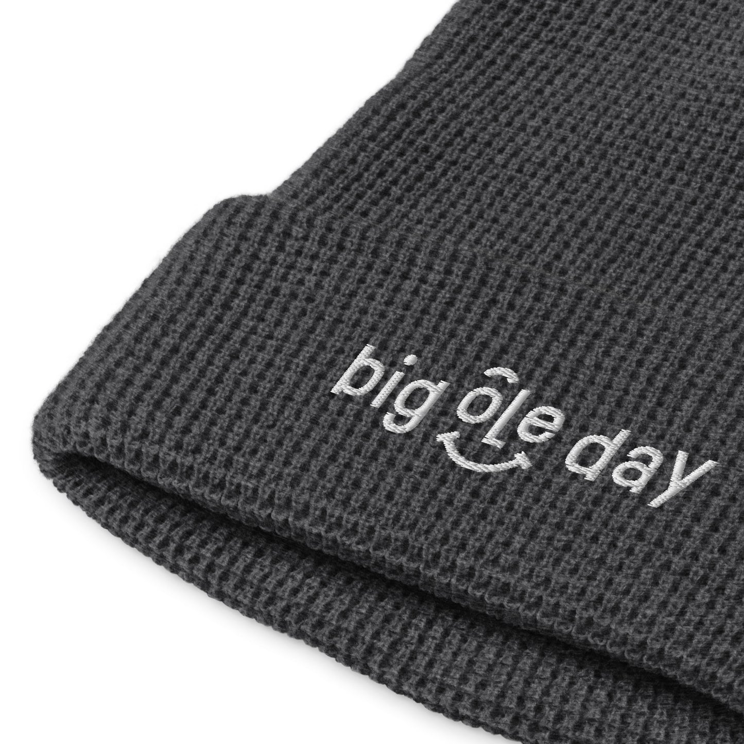 Big Ole Day Beanie