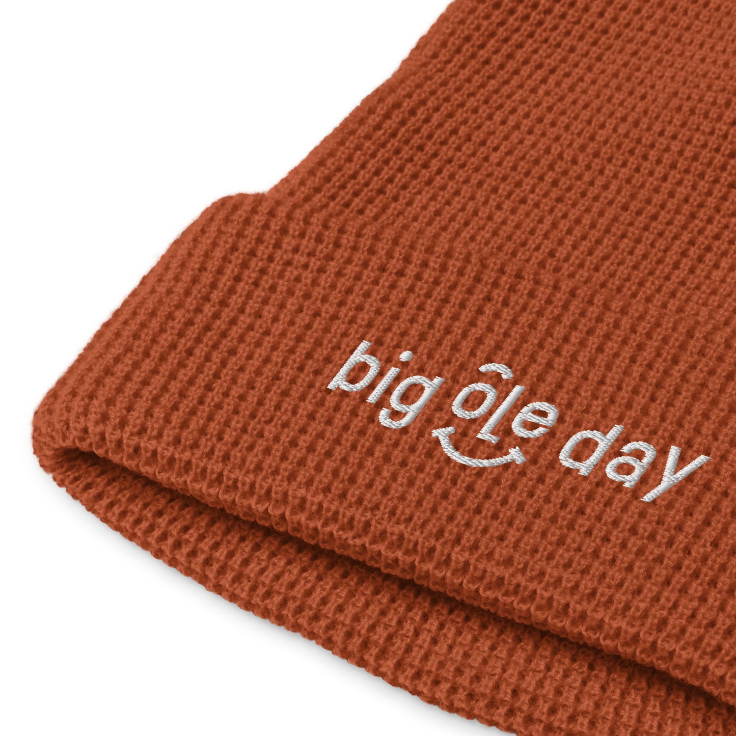 Big Ole Day Beanie